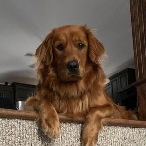 Meet your Posher, Douglas